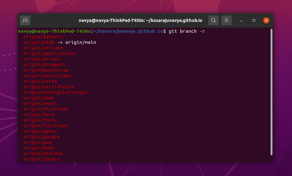 Showing all the remote branches in git using terminal