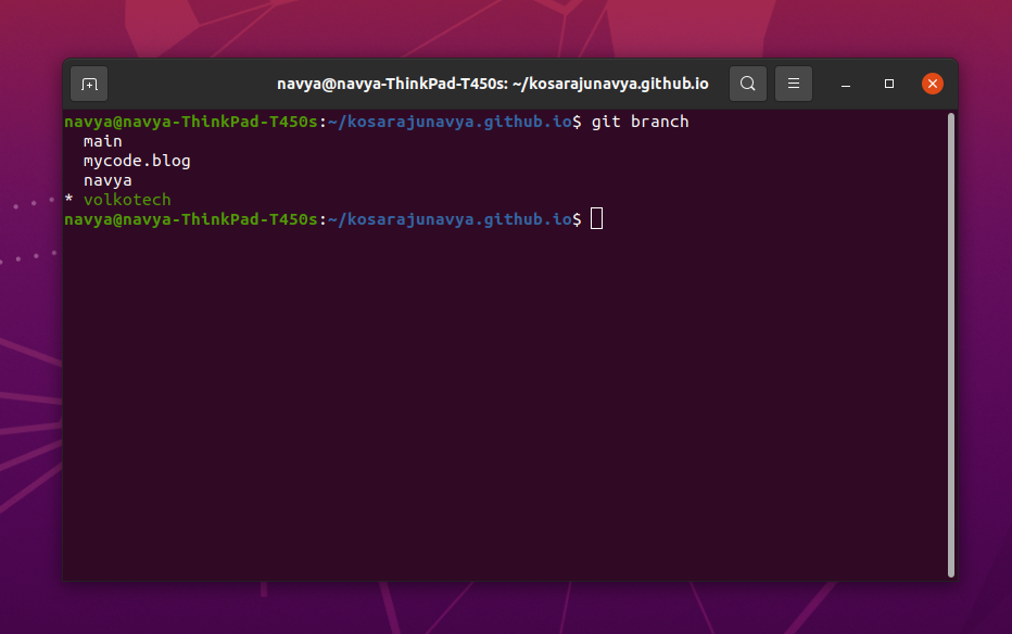 Showing all the local brances in git using Ubuntu terminal